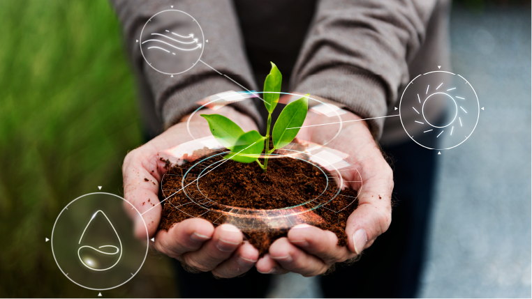 Hands holding seedling with agricultural technology icons